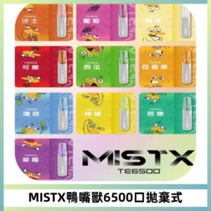 MISTX TE鴨嘴獸6500 Puffs抛棄式一次性抛棄式電子煙