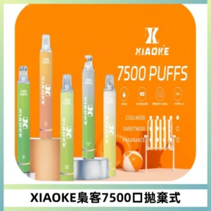 XIAOKE梟客7500Puffs跑馬燈拋棄式電子煙 可發光一次性